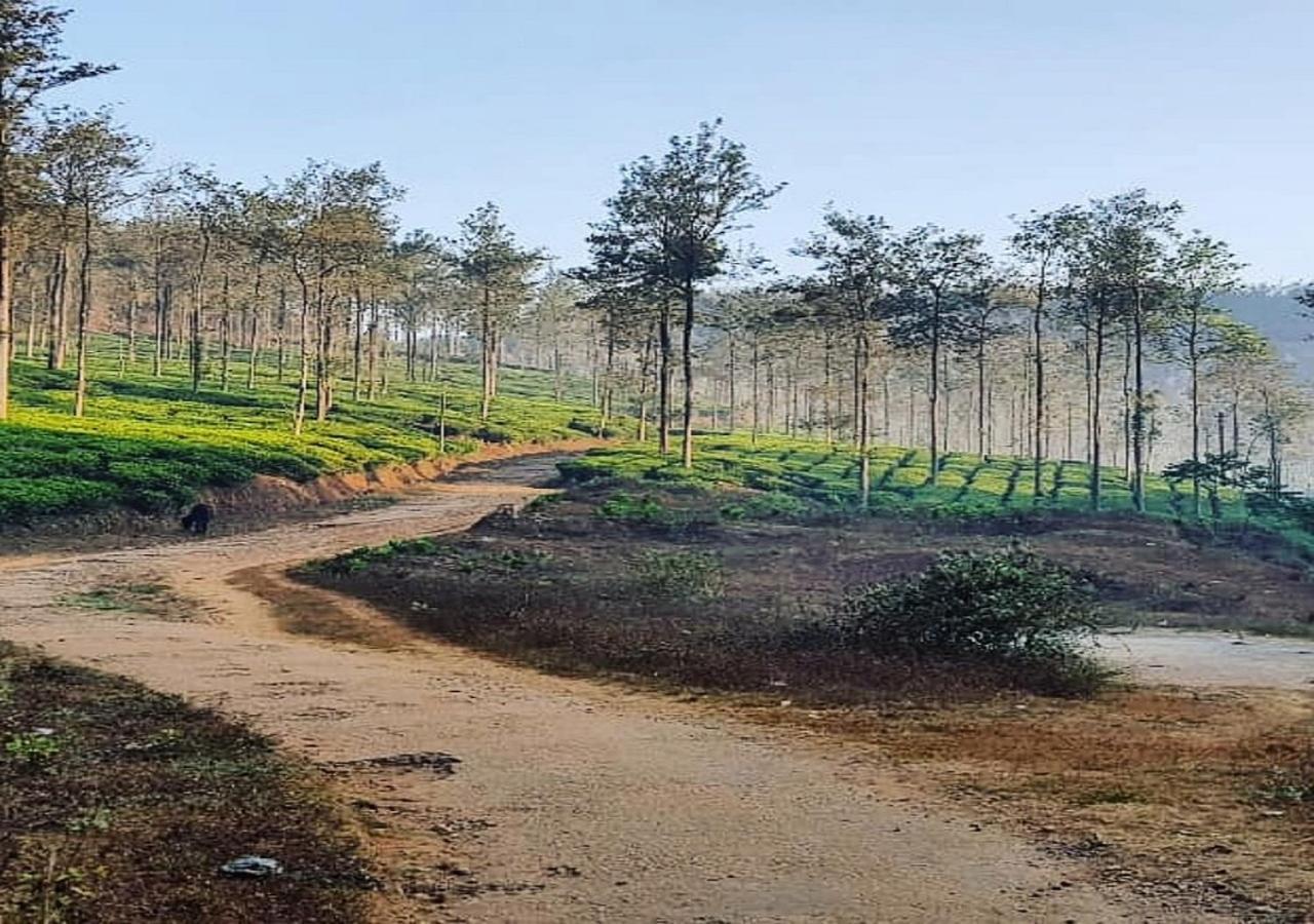 Glad Valley Wayanad By Lexstays-Tea Estate Villa Exterior foto