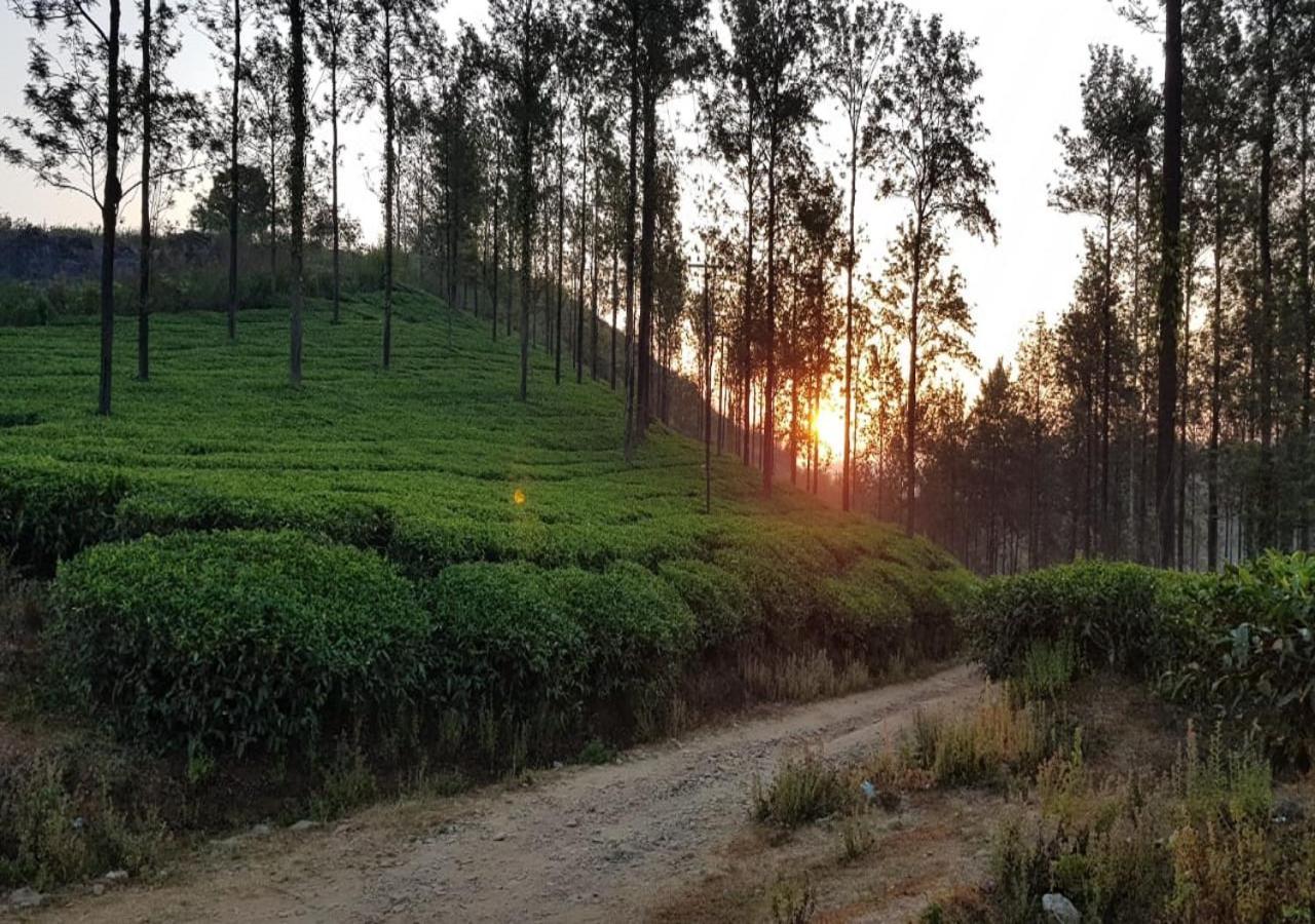 Glad Valley Wayanad By Lexstays-Tea Estate Villa Exterior foto